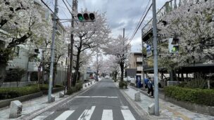 大宮マンション特集５／新規物件・物件情報更新