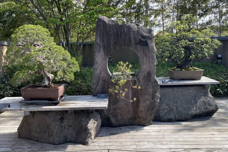 さいたま市民の日
