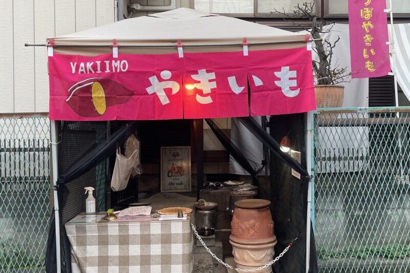 焼きいも　つぼみ